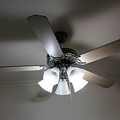 IMG_1582.JPG