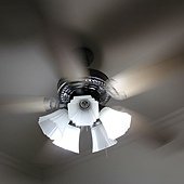IMG_1583.JPG