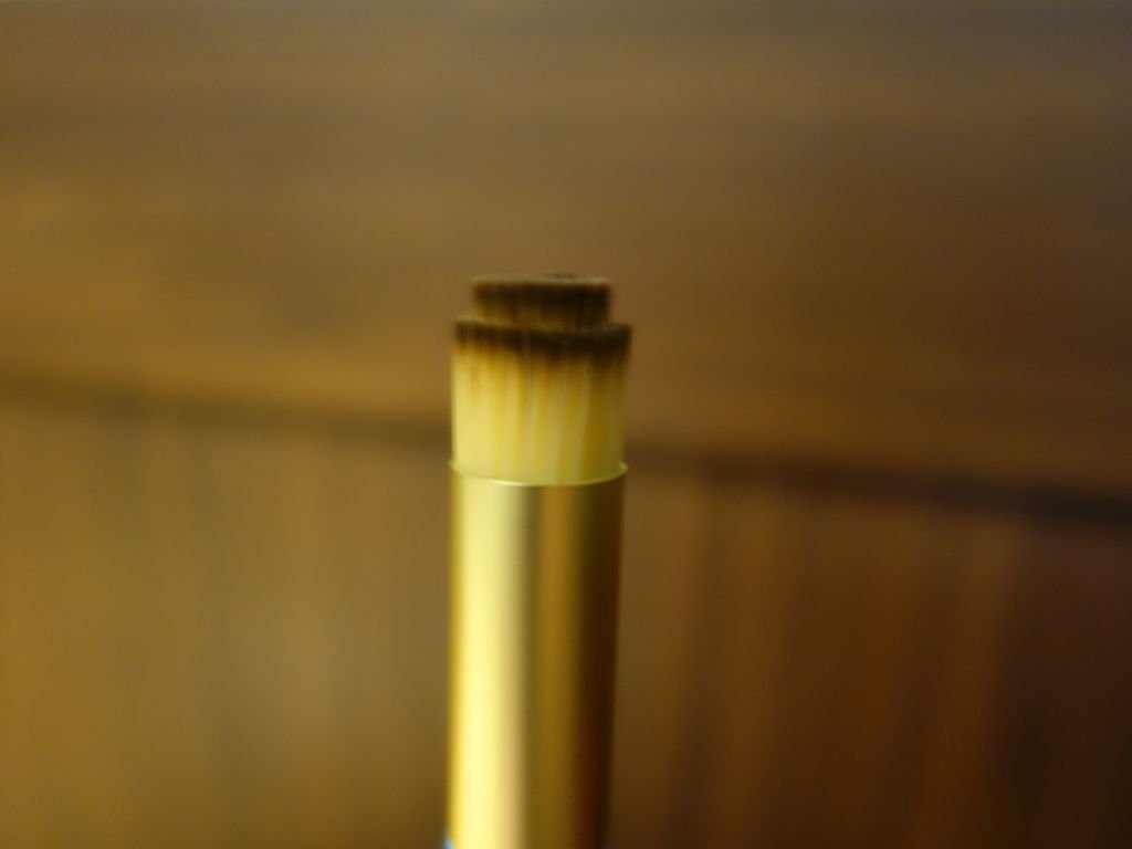 DSC05797.JPG