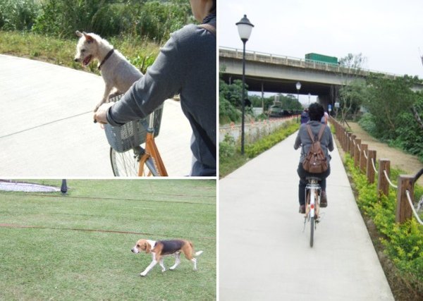 坐媽媽的車