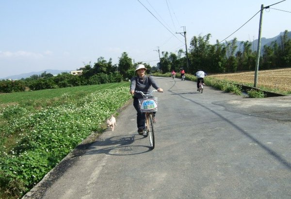 媽媽說要走路邊