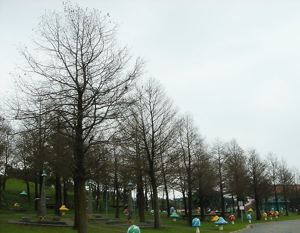 冬山河自行車道。親水公園