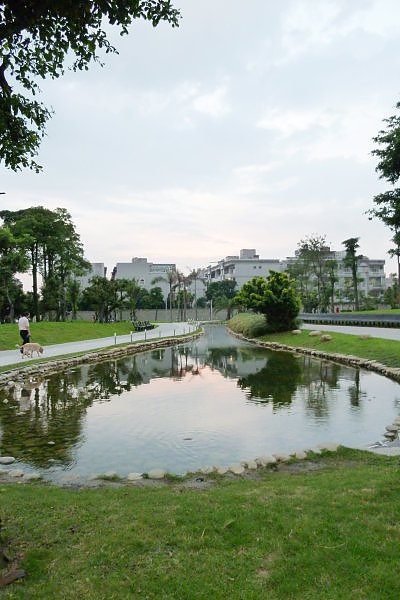 公園。塘