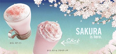 StarbucksJP-Sakura