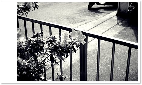 IMG_0005.JPG