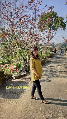 IMAG3547_mh1392112918846