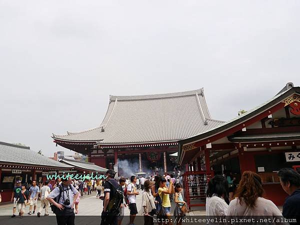 P1000559.JPG