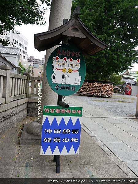 P1000636.JPG