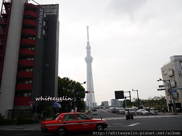 P1000674.JPG