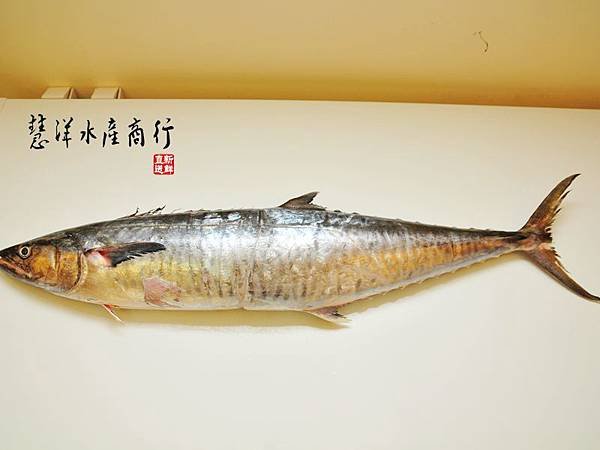 DSC_7782整條魚圖.jpg