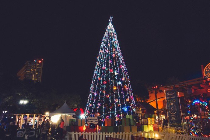 San jose christmas in the Park 24.jpg