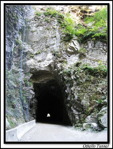 Othello Tunnel