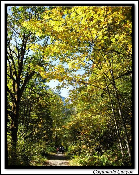 Coquihalla Canyon