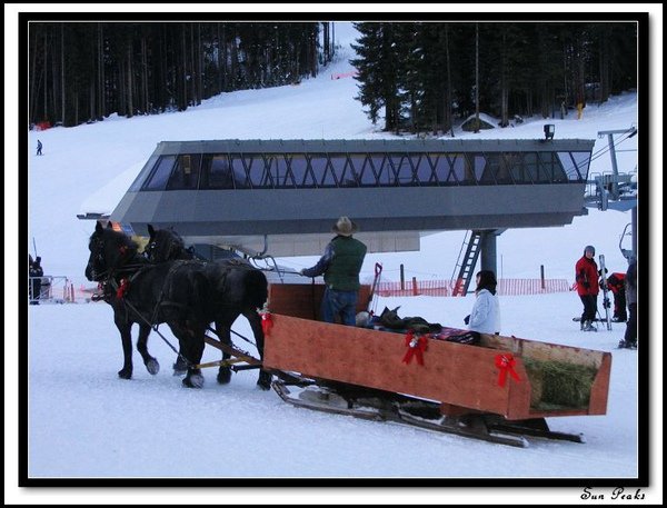 Horse Wagon