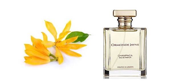 【Ormonde Jayne】Champaca (黃玉蘭花)1.jpg