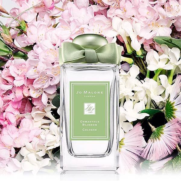 【Jo Malone】Osmanthus Blossom (桂花)5.jpg