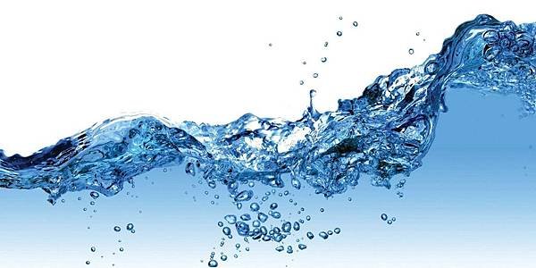 【En Voyage Perfumes】A Study in Water (水靈)4.jpg