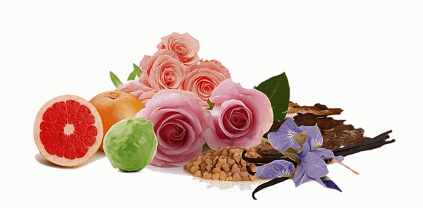 【Lubin Paris】Grisette (巴黎時光)3.png