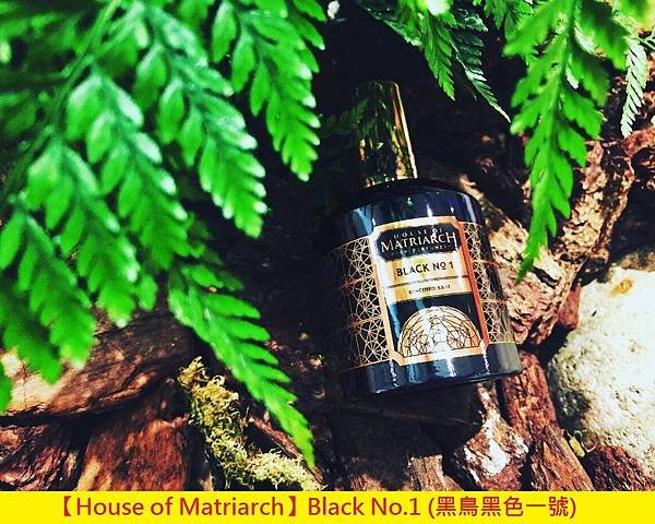 【House of Matriarch】Black No.1 (黑鳥黑色一號)1.jpg