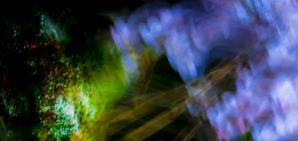 【Prin】Nocturnal Poetry (夜的詩篇 噩夢)3.jpg