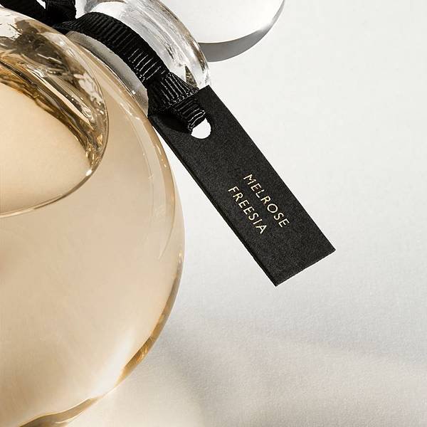 【Eric Buterbaugh】Melrose Freesia (梅爾羅斯的小蒼蘭)6.jpg