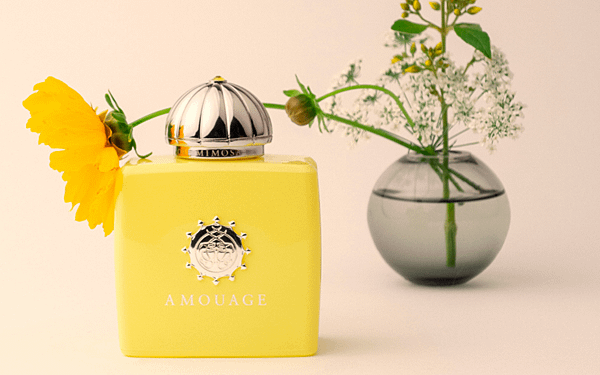 【Amouage】Love Mimosa (黃金羽)1.png