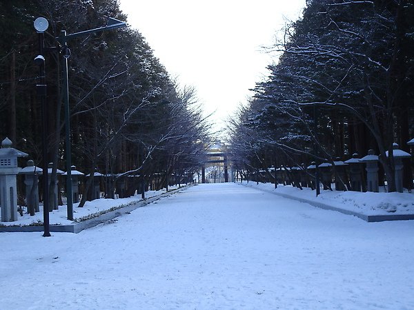 DSC03549.JPG
