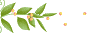 21.gif