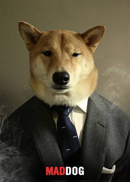 mensweardog