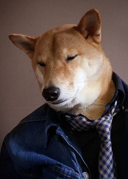 mensweardog