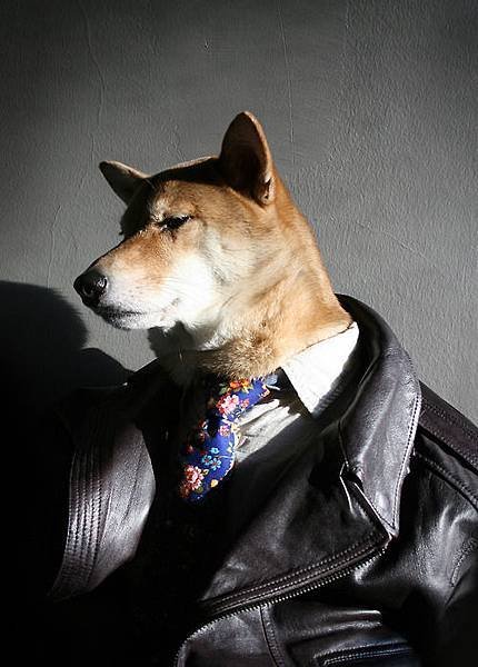 mensweardog