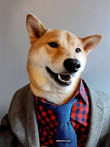 mensweardog