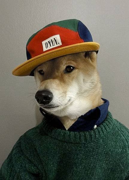 mensweardog