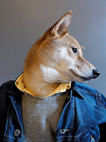 mensweardog