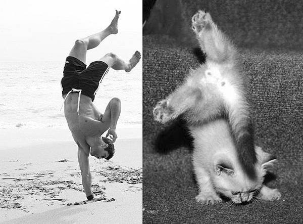 男人與貓_Men and Cats_胡白說_網路爆紅_WhoByTalk