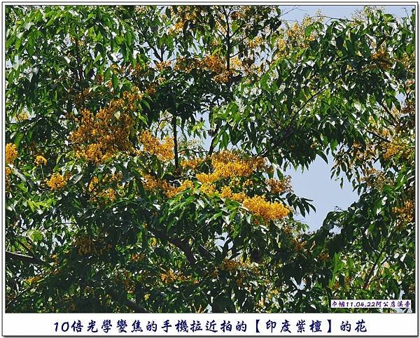 阿公店溪西岸