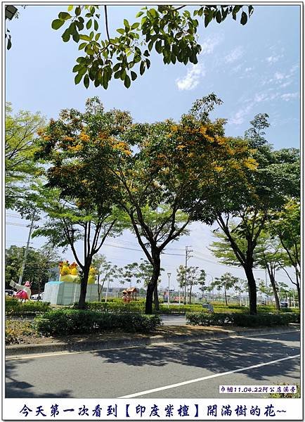 阿公店溪西岸