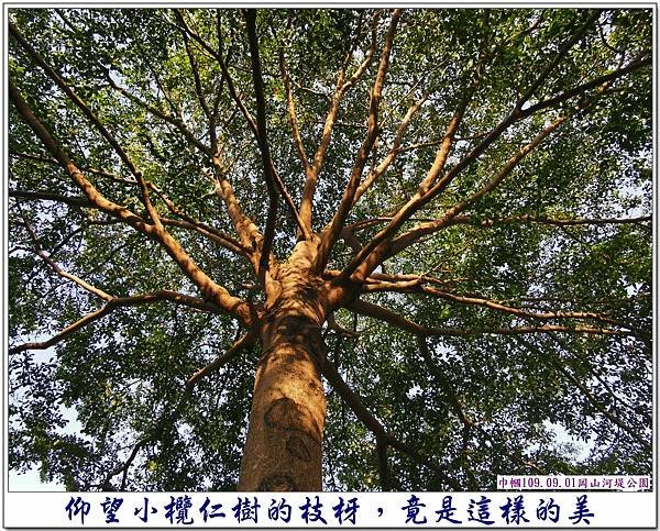 阿公店溪西岸