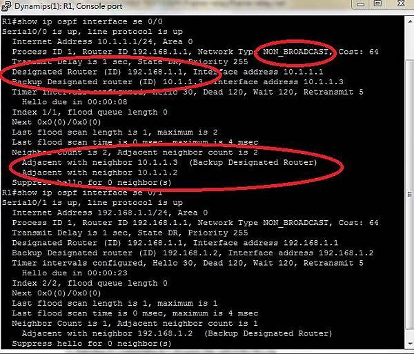 ip ospf interface se 00.jpg