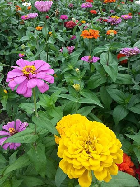 20141023_151029.jpg