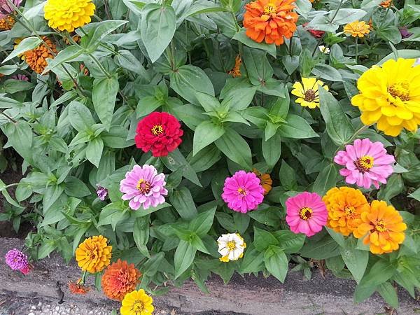 20141023_151153.jpg