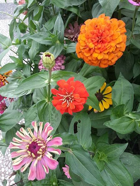 20141023_151405.jpg