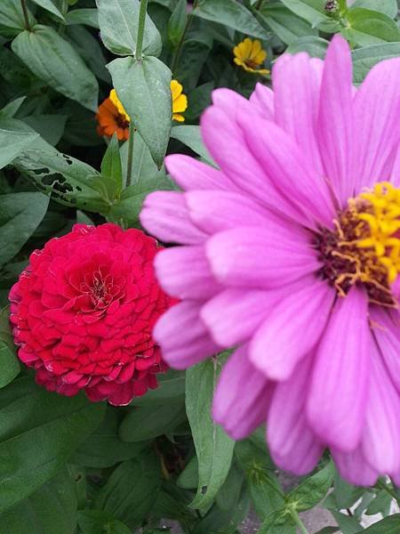 20141023_151728.jpg