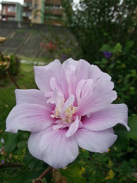 20141023_153038.jpg