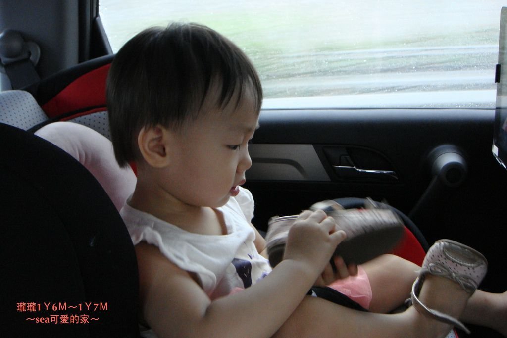瓏瓏1Ｙ6Ｍ～1Ｙ7Ｍ8.JPG