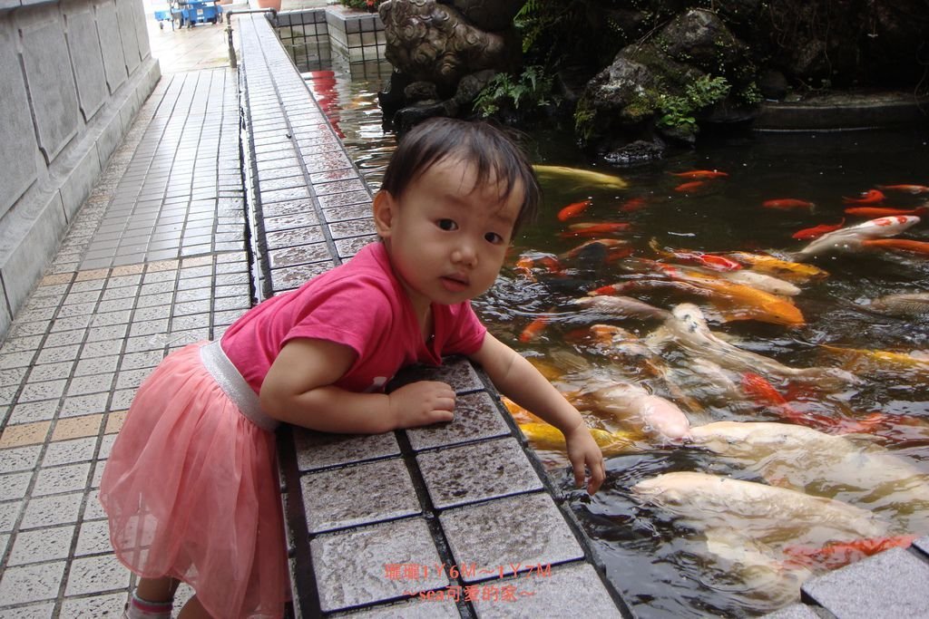 瓏瓏1Ｙ6Ｍ～1Ｙ7Ｍ16.JPG