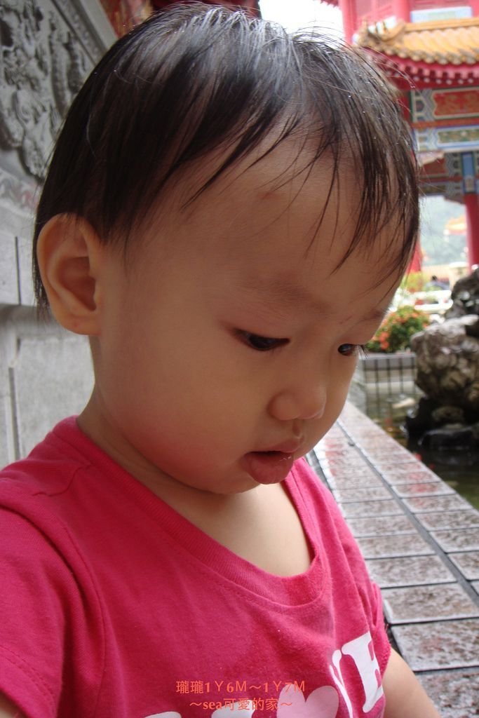 瓏瓏1Ｙ6Ｍ～1Ｙ7Ｍ17.JPG