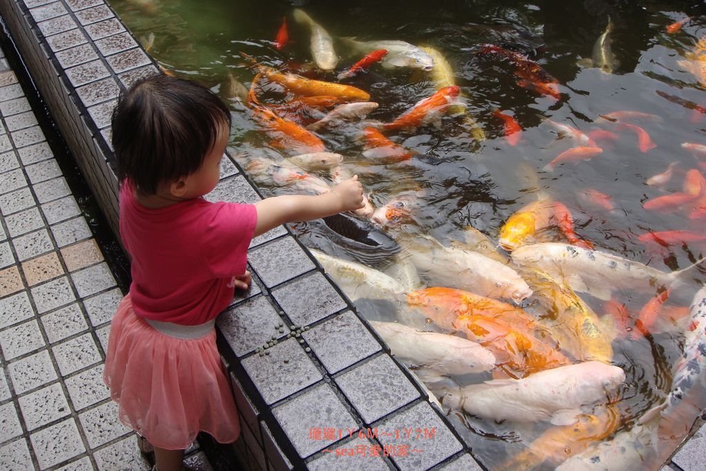 瓏瓏1Ｙ6Ｍ～1Ｙ7Ｍ19.JPG