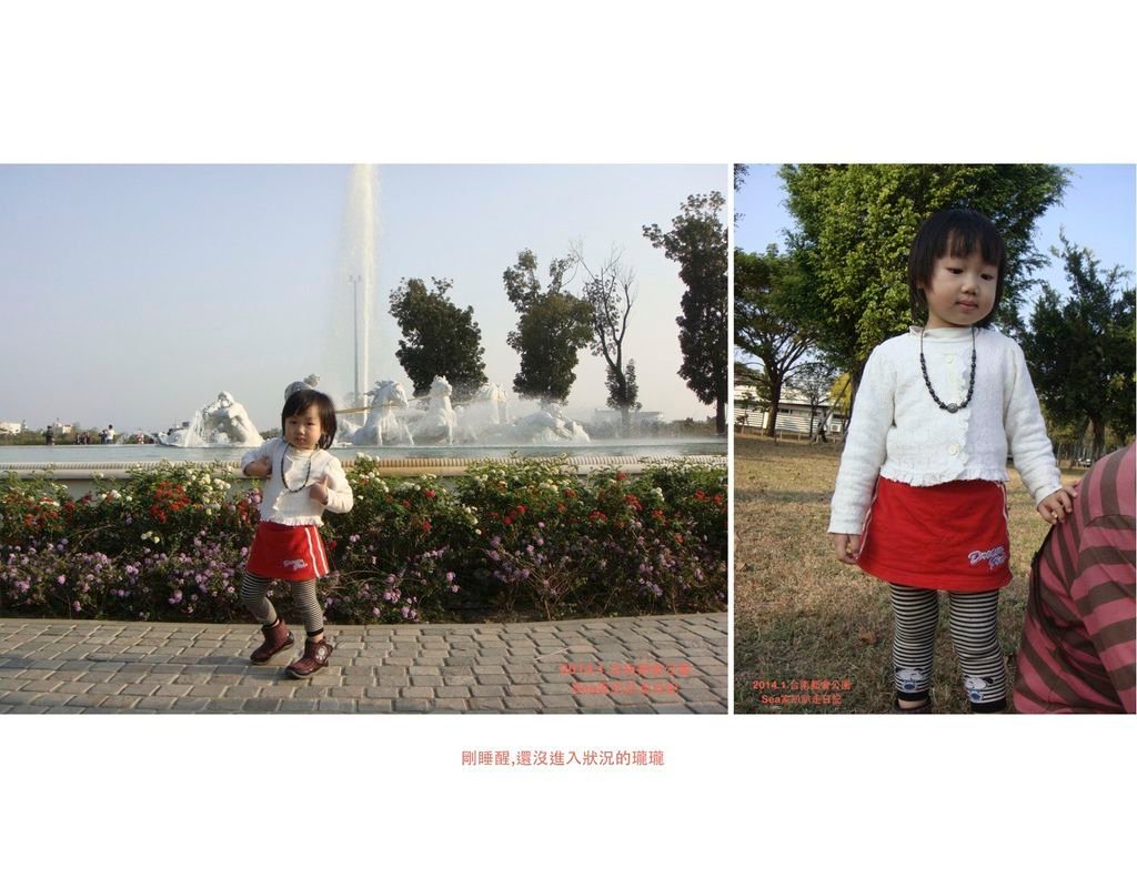 2015.1台南都會公園1.jpeg