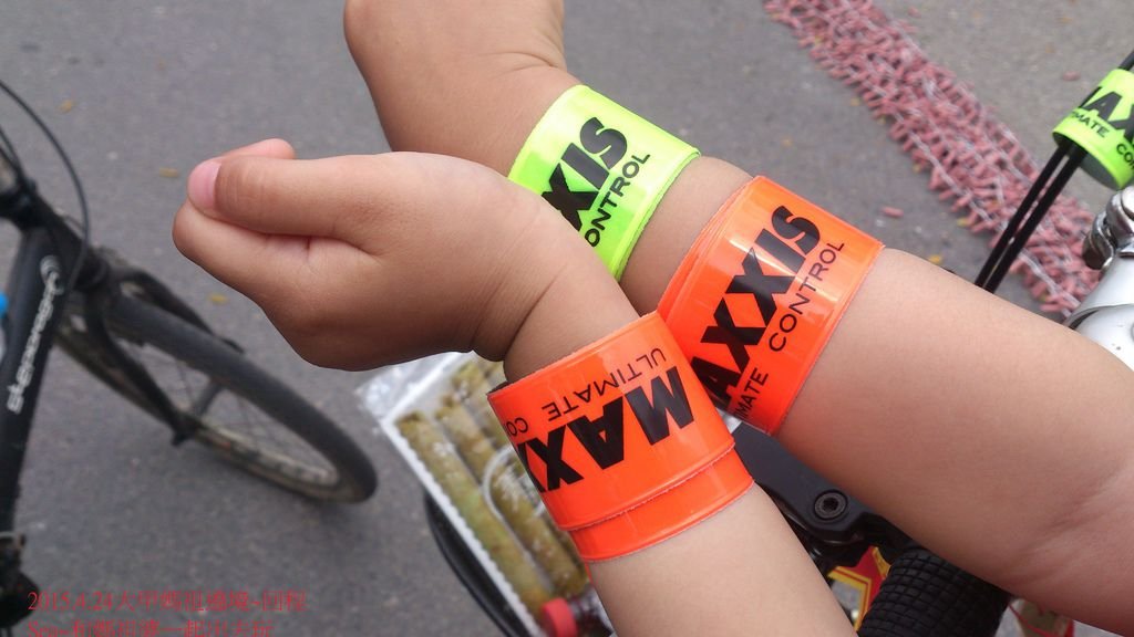 2015.4.24大甲媽祖遶境~回程6.jpg